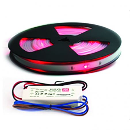 Kit leds et buzzer ROCK